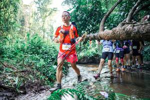 BIB: 
                            <button type="button" onclick="openModal(25467063)" class="btn btn-primary btn-sm float-right btn-popup" data-toggle="modal" data-target=".modal-high-quality">
                        <i class="fas fa-shopping-cart"></i> Add to Cart
                    </button>
                                            <button type="button" onclick="isThisMe(25467063, true)" class="btn btn-success btn-sm float-right btn-popup btn-isme hidden" data-toggle="tooltip" data-placement="bottom" title="นี่คือรูปของคุณใช่ไหม คลิกที่นี่เพื่อเอาเข้าอัลบั้ม">
                        <i class="fas fa-plus"></i> Add to album
                    </button>
                    <button type="button" onclick="isThisMe(25467063, false)" class="btn btn-warning btn-sm float-right btn-popup btn-isnotme hidden">
                        <i class="fas fa-ban"></i> Remove from album
                    </button>